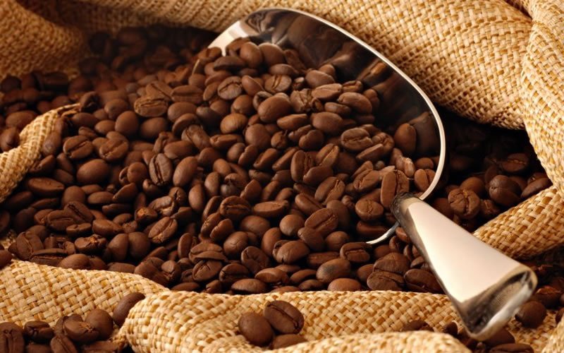 Café de Cacoal fica entre cinco melhores em concurso que avalia melhor café do Brasil